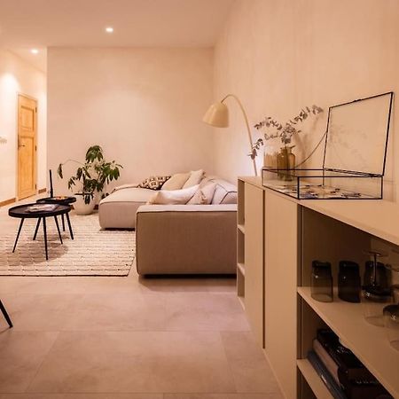 Appartement Met Tuin In Haarlem Centrum Экстерьер фото