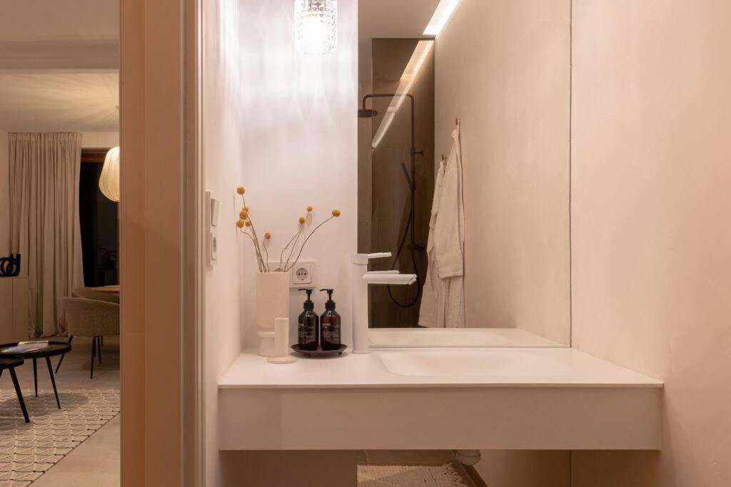 Appartement Met Tuin In Haarlem Centrum Экстерьер фото