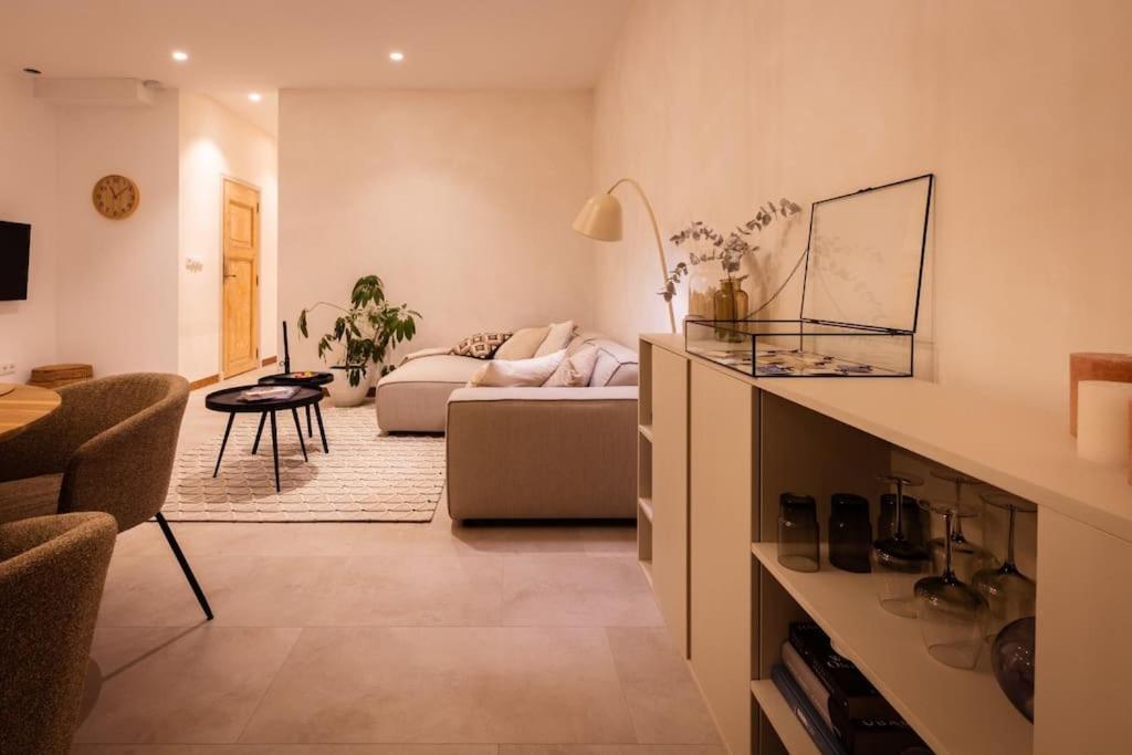 Appartement Met Tuin In Haarlem Centrum Экстерьер фото